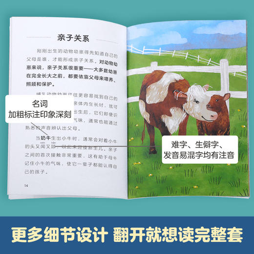 乐乐趣-科学自己读（10册）套装 商品图5
