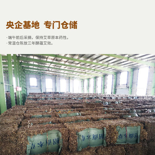 玺艾堂 蕲艾灸贴5片/盒 发热除寒艾草贴膝盖足腰颈椎贴肚脐热敷贴附 商品图4