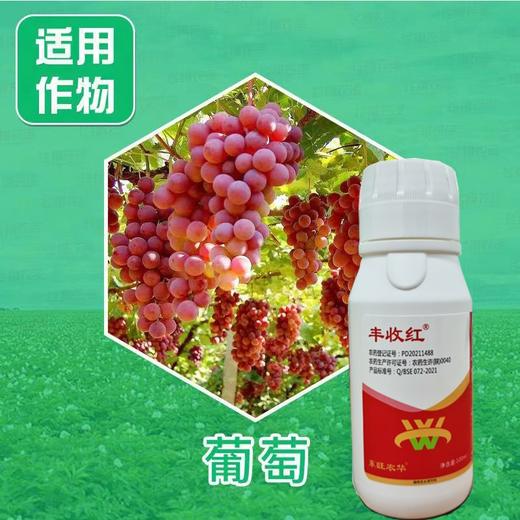 诱抗素10%可溶液剂葡萄上色抗逆 商品图2