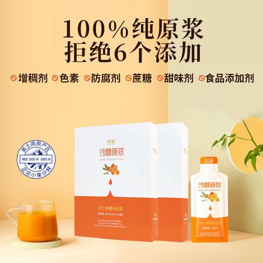 然萃沙棘原浆(30ML*10袋)鲜果冷压榨营养 商品图4