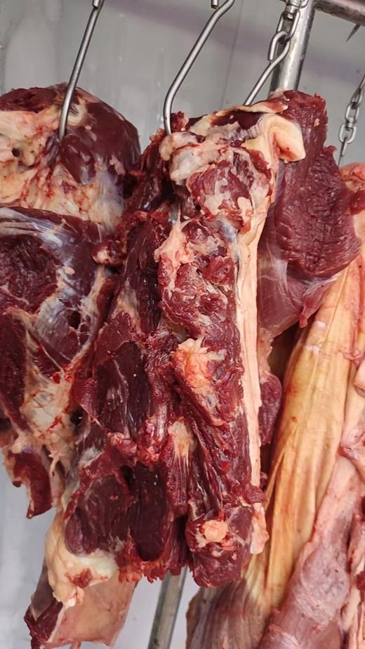 牛肋条一斤 商品图0