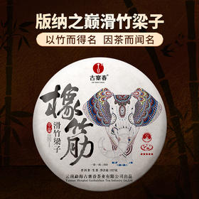 12月5日上午九点【两人团】【橡筋—滑竹梁子】2023年头春头采版纳之巅的神器集古树精华稀少且珍贵