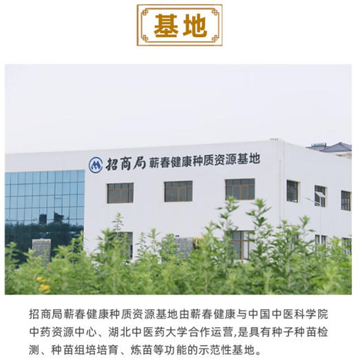 玺艾堂 艾灸盒4套/盒 随身灸仪器家用艾灸罐含三年陈蕲艾柱28粒肩颈腰椎贴膝盖关节悬灸筒 商品图5