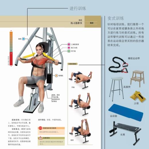 《拉伸训练 彩色图谱》+《肌肉力量训练 彩色图谱》 商品图3