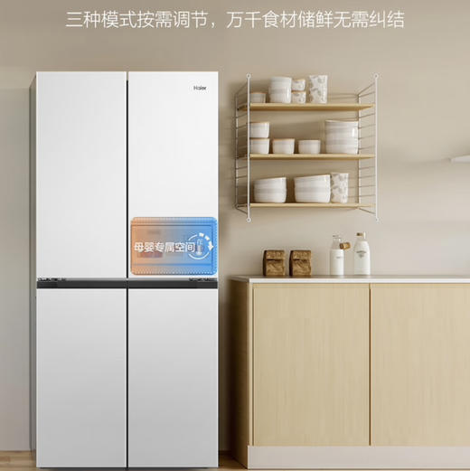 海尔（Haier）冰箱  BCD-460WGHTD45W9U1 商品图5