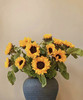【入目无人/四下皆是你】向日葵（昆明版）5枝/扎 商品缩略图1