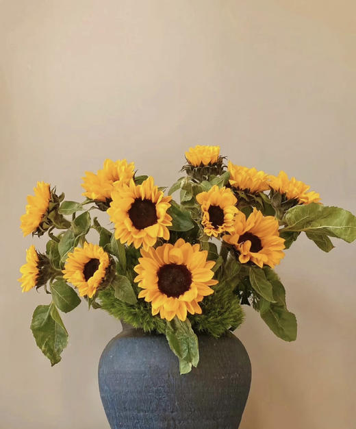 【入目无人/四下皆是你】向日葵（昆明版）5枝/扎 商品图1