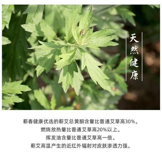玺艾堂 艾灸盒4套/盒 随身灸仪器家用艾灸罐含三年陈蕲艾柱28粒肩颈腰椎贴膝盖关节悬灸筒 商品图6