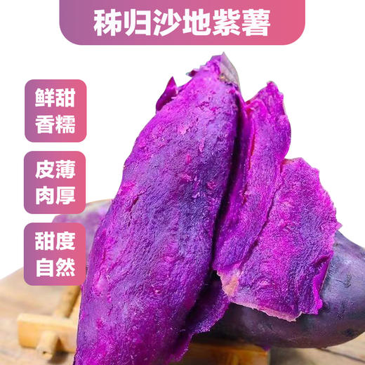 紫罗兰紫薯5斤装/中果 （商） 商品图3