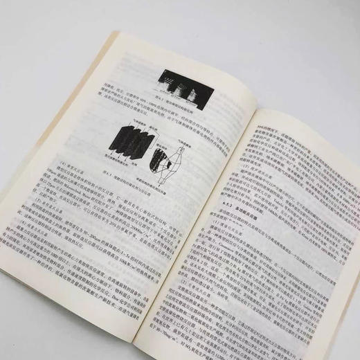 【旗舰店】绿色化工与绿色环保 第二版（取材先进、实用，突出技术新颖与思维创新，着力于拓宽视野）（绿色化学与化工丛书） 商品图2