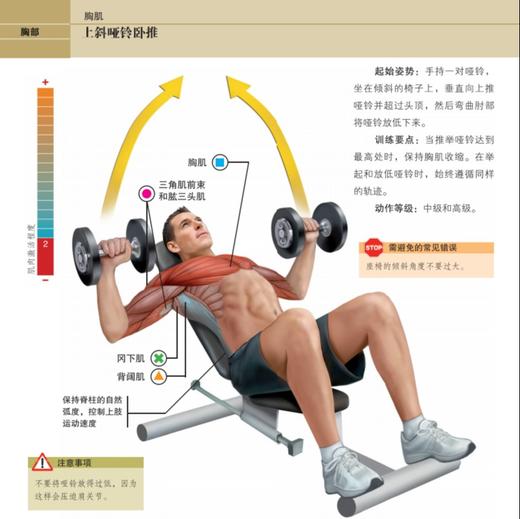 《拉伸训练 彩色图谱》+《肌肉力量训练 彩色图谱》 商品图4