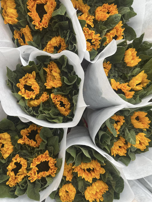 【入目无人/四下皆是你】向日葵（昆明版）5枝/扎 商品图11