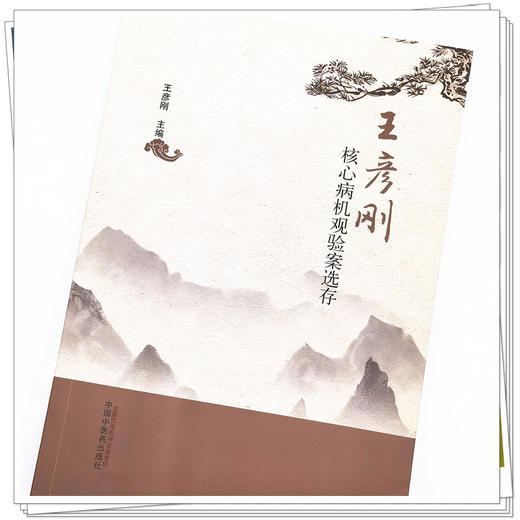 正版 现货【出版社直销】王彦刚核心病机观验案选存 王彦刚 著 中国中医药出版社 中医临床 书籍 商品图4