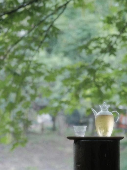 凤凰单枞-蜜兰香2号 只采一季 商品图2