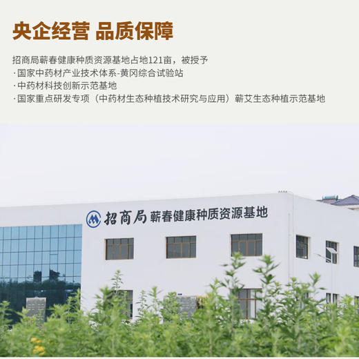 玺艾堂 蕲艾灸贴5片/盒 发热除寒艾草贴膝盖足腰颈椎贴肚脐热敷贴附 商品图2