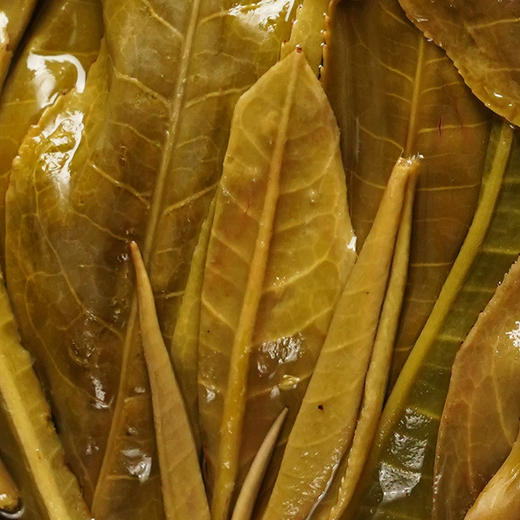 12月5日上午九点【两人团】【橡筋—滑竹梁子】2023年头春头采版纳之巅的神器集古树精华稀少且珍贵 商品图6