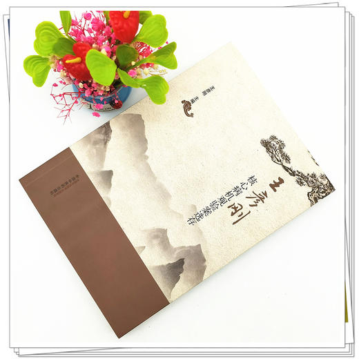 正版 现货【出版社直销】王彦刚核心病机观验案选存 王彦刚 著 中国中医药出版社 中医临床 书籍 商品图2