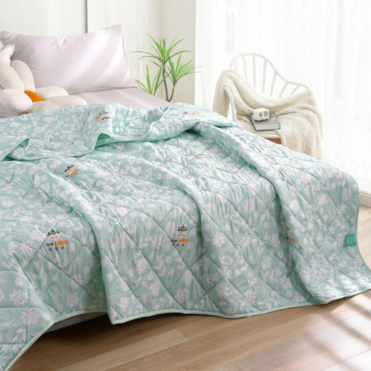 【紫韵家纺】艾草驱蚊被 草本防蚊夏凉被ZY-BQ1516 商品图2