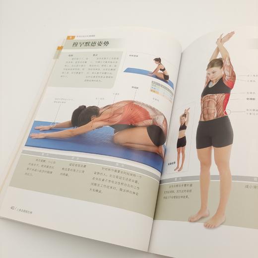 《拉伸训练 彩色图谱》+《肌肉力量训练 彩色图谱》 商品图9