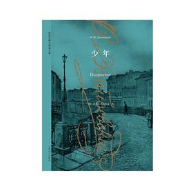 少年 陀思妥耶夫斯基文集 陀思妥耶夫斯基 著 小说