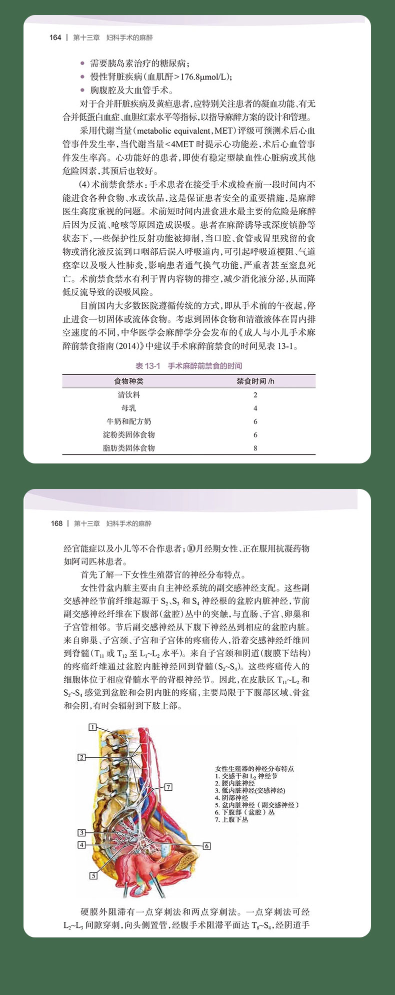 科普模板_05.jpg