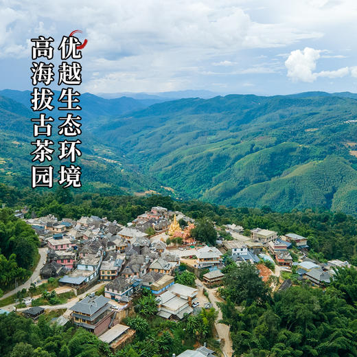 【最后库存分享】【千年螃蟹脚】比冬虫夏草更为珍惜，普洱茶的蕞佳伴侣150克/罐拍5发6拍20发25 商品图9