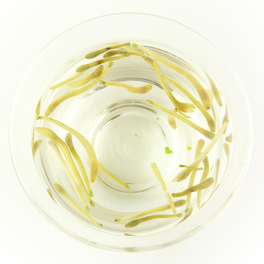 【第二罐半价！清香金银花30g罐装】鲜润色泽，颗颗完整清新浓郁，入口甘醇丝丝清凉，黄绿饱满， 金银花花茶 金银花茶 可泡水煮水健康 商品图3