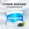 澳洲月光宝盒Anthogenol葡萄籽胶囊花青素氧化还原紧致100粒 商品缩略图3