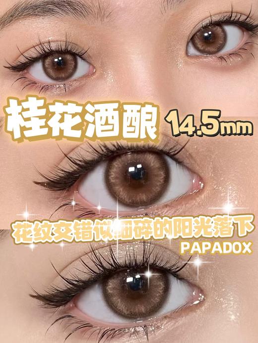 papadox 半年抛 桂花酒酿 直径14.5mm着色14.0mm 商品图6