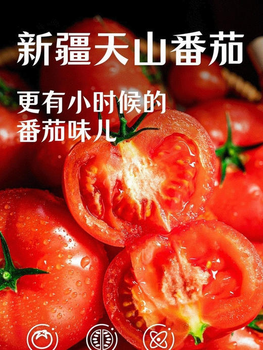 小黄象番茄意面！160克超大酱包，猪后腿肉，肉汁浓郁酱汁味香，甄选新疆天山番茄（150天挂果）非转基因还原小时候的番茄味！经典意面硬度，还原正宗意面口感(非软面)一组六袋 商品图4