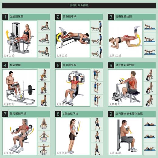 《拉伸训练 彩色图谱》+《肌肉力量训练 彩色图谱》 商品图5