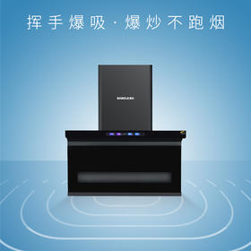 桑乐（SANGLE）吸油烟机CXW-268-537Q