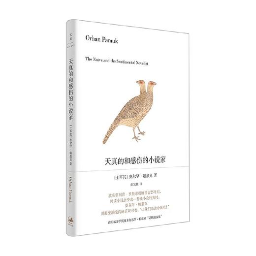 天真的和感伤的小说家 奥尔罕·帕慕克 著 文学 商品图0