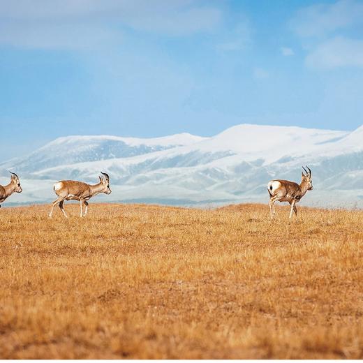 中国自助游（全4册） 商品图11