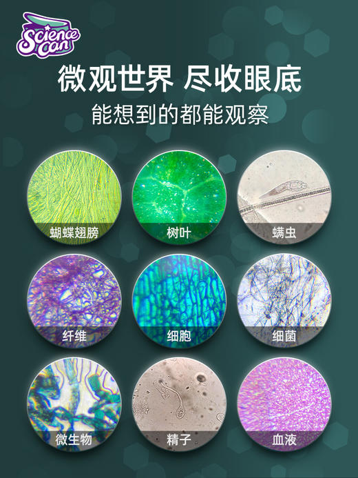 科学罐头光学显微镜1600倍儿童可看细菌初中学生专用高清电子台式科学实验专业级 商品图4