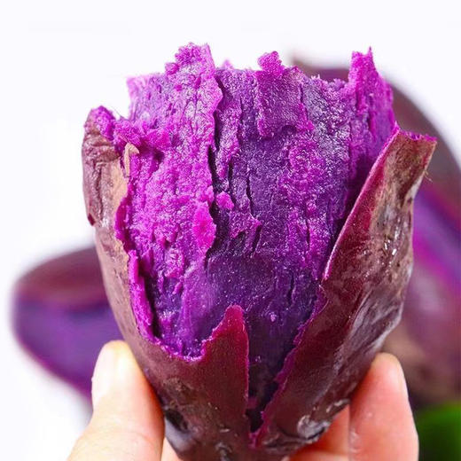 紫罗兰紫薯5斤装/中果 （商） 商品图2