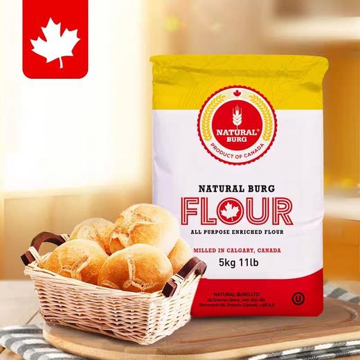 高筋面粉10斤 5斤小麦粉圣地博格包子饺子馒头家用烘焙专用面包粉 商品图2