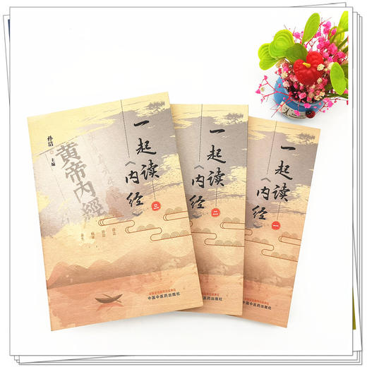 套装3本 一起读内经（一 二 三）孙洁 主编 中国中医药出版社 中医经典 入门书籍 商品图2