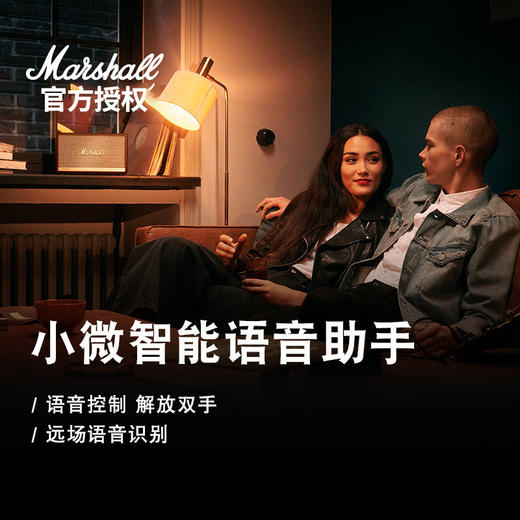 Marshall/马歇尔 ACTON 2代 智能无线蓝牙音箱 棕色 商品图4