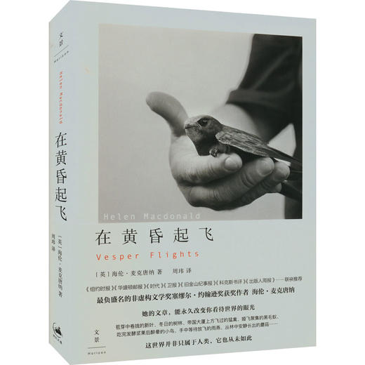 在黄昏起飞 商品图0