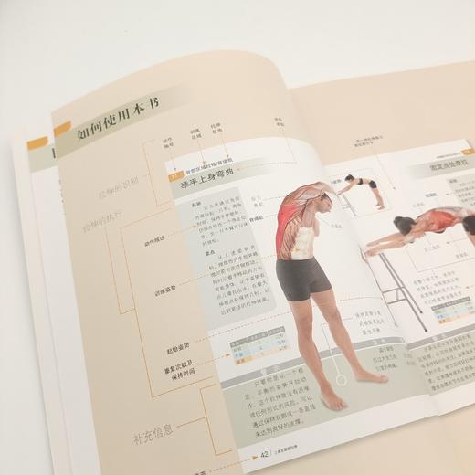 《拉伸训练 彩色图谱》+《肌肉力量训练 彩色图谱》 商品图11