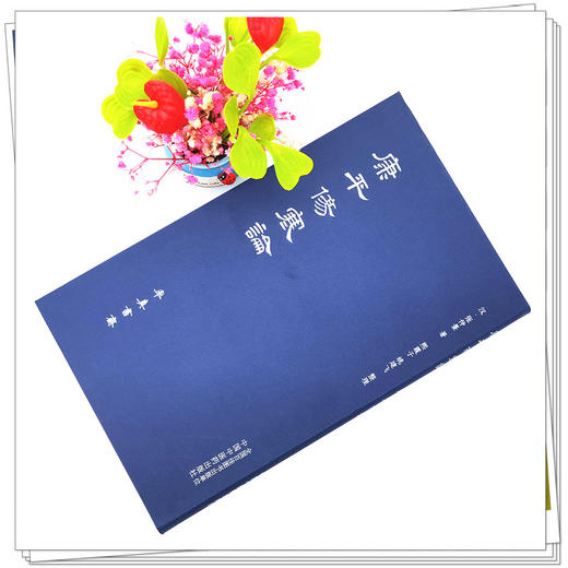 现货 正版【出版社直销】康平伤寒论 (汉) 张仲景 中国中医药出版社 中医 书籍 商品图2