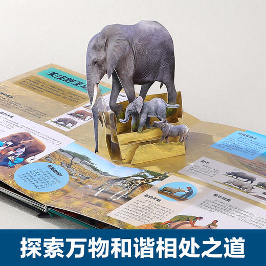 乐乐趣科普立体书 濒危动物立体书 商品图3