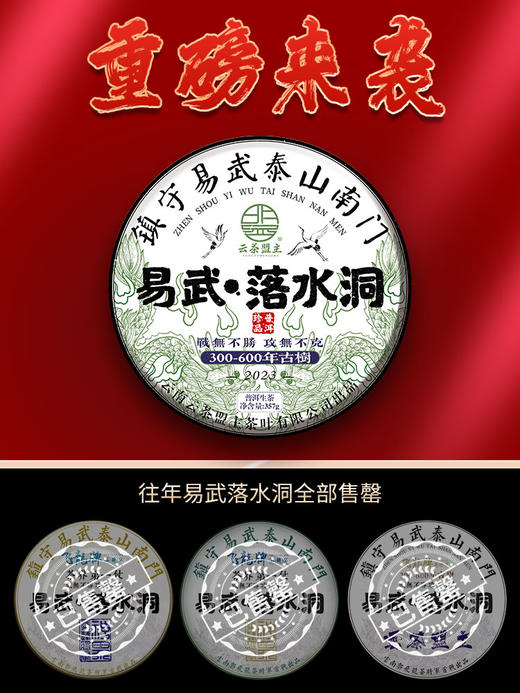 找到1片！2023年云茶盟主第四代【易武落水洞】600年头春顶级古树茶！奢侈级原始森林生态古茶！ 商品图3
