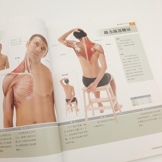 《拉伸训练 彩色图谱》+《肌肉力量训练 彩色图谱》 商品图10