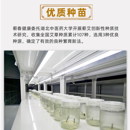 玺艾堂 艾叶饼三年陈蕲艾草儿童宝宝足浴30g*12片/盒 泡脚泡澡包家用熏香 商品图6