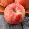 烟台红富士大果4.5斤（8-9果）果径（80-85）左右新鲜水果苹果富士苹果 商品缩略图0