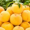 【顺丰发货】现摘现发 | 芒果黄桃/山西黄金油桃 家庭装/礼盒装  4.5斤/8.5斤 商品缩略图11