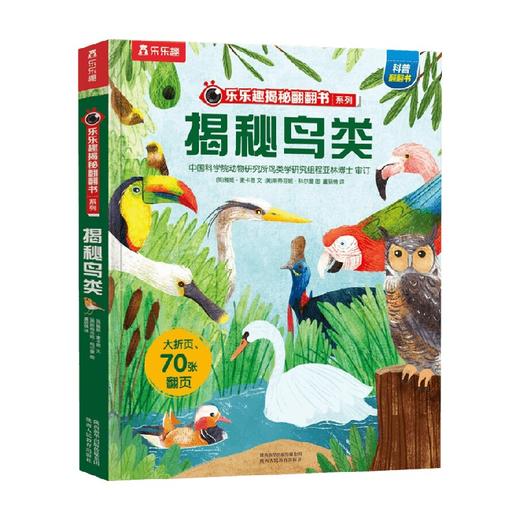 揭秘鸟类 3-6岁 雅姬·麦卡恩 著 科普百科 商品图3