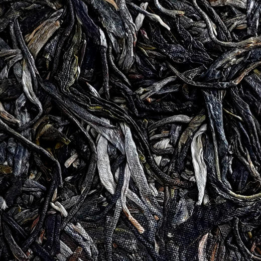 12月5日上午九点【两人团】【橡筋—滑竹梁子】2023年头春头采版纳之巅的神器集古树精华稀少且珍贵 商品图3